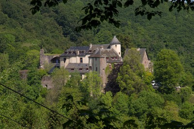 Burcht Neuerburg 2