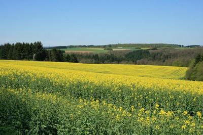 kamperen in duitsland