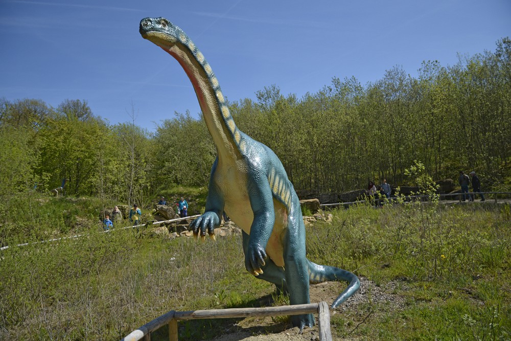 Dinosaurier Park 5