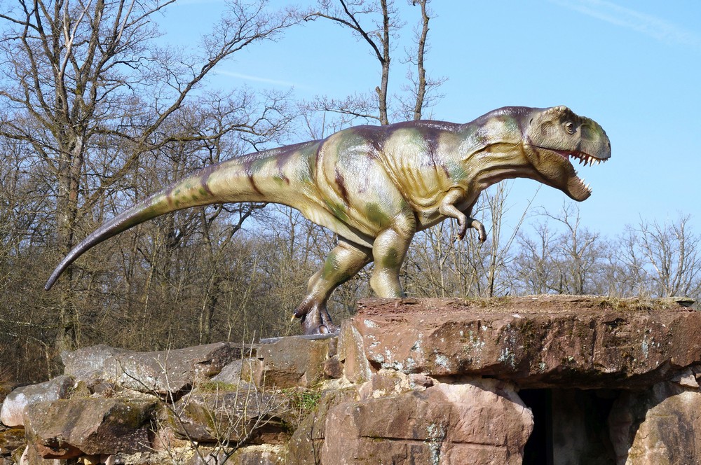 Dinosaurier Park Rex-