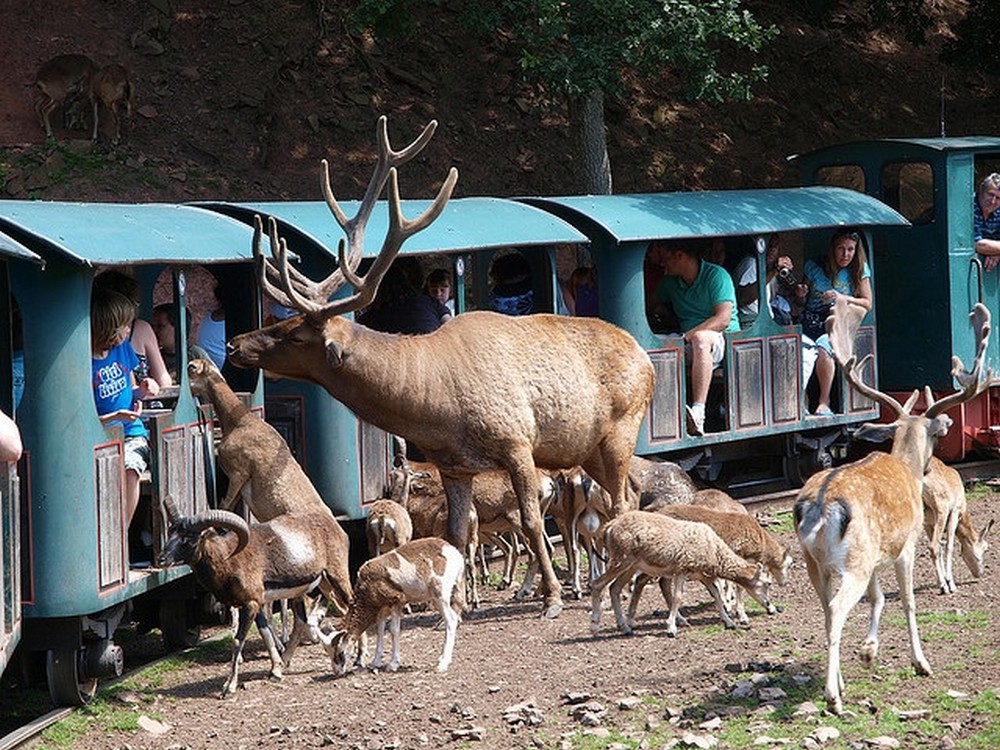 EifelZoo Lunenbach