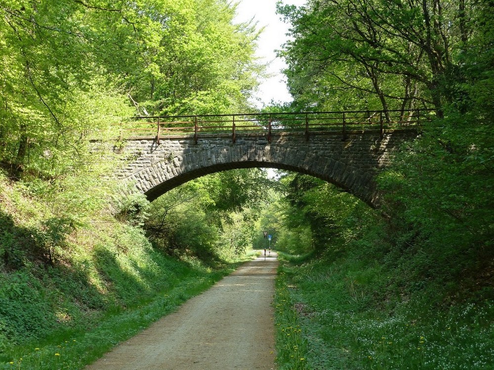 Enz Radweg 1