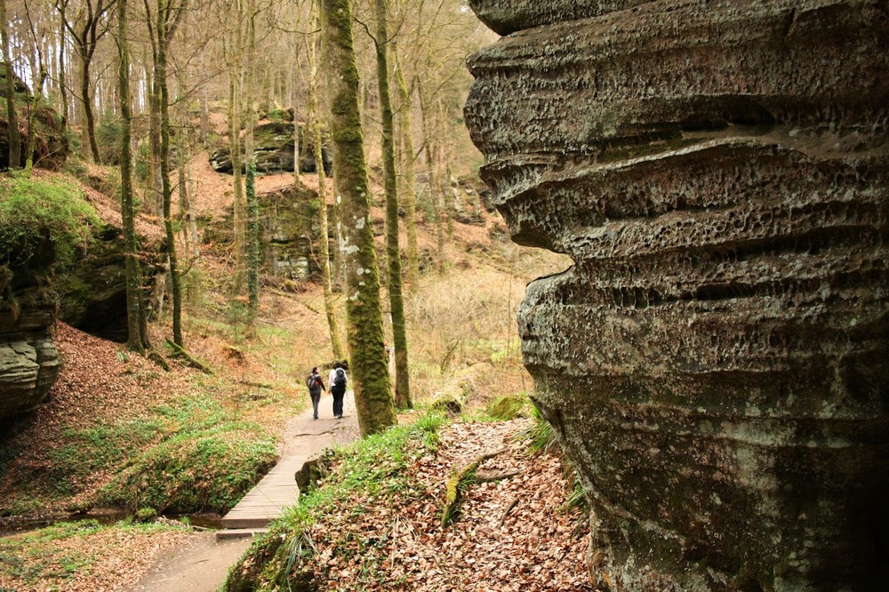 Müllerthal Wandelen